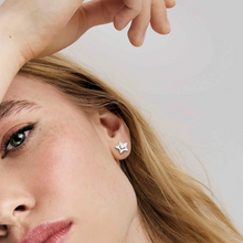 Load image into Gallery viewer, MYSOPHIE EARRINGS 029907/023 ROSE GOLD STAR CZ STUDS
