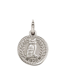 Load image into Gallery viewer, WISHES PENDANT CHARM 147303/016 WISDOM
