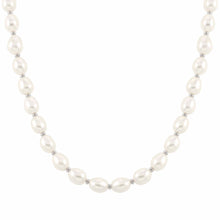 Load image into Gallery viewer, KATE FRESHWATER BAROQUE PEARL NECKLACE 148902/010
